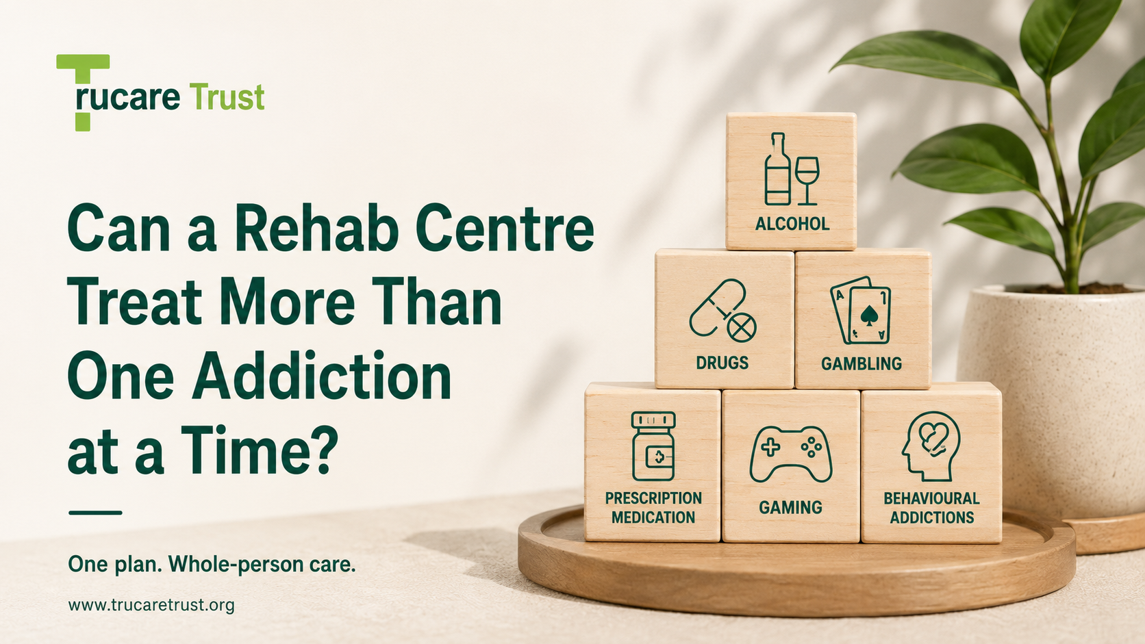 Can a Rehab Centre Treat More Than One Addiction at a Time